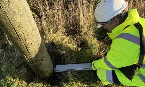 Pole condition inspection